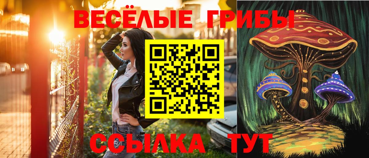 Псилоцибиновые грибы ЛСД  Вход с VPN  Златоуст 